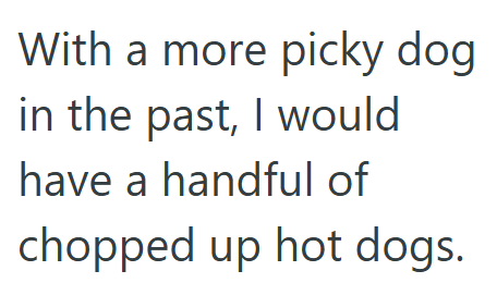 With a more picky dog in the past, I would I have a handful of chopped up hot dogs.
