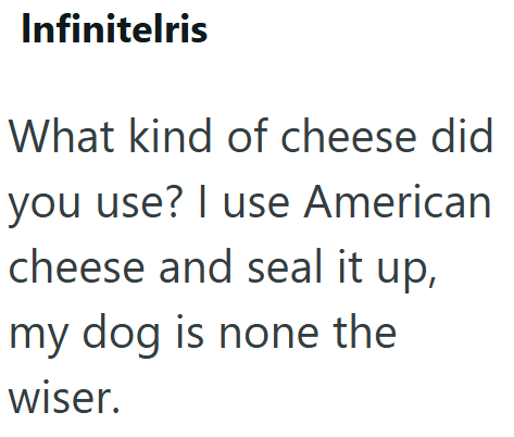 Infinitelris What kind of cheese did you use? I use American cheese and seal it up, my dog is none the wiser.