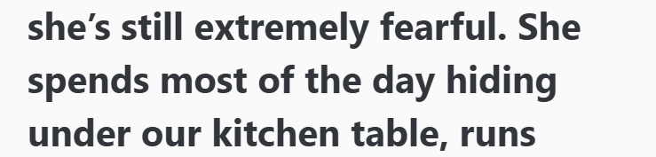 she's still extremely fearful. She spends most of the day hiding under our kitchen table, runs