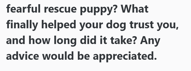 fearful rescue puppy? What finally helped your dog trust you, and how long did it take? Any advice would be appreciated.