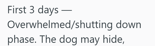 First 3 days - Overwhelmed/shutting down phase. The dog may hide,