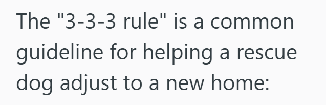 The "3-3-3 rule" is a common guideline for helping a rescue dog adjust to a new home: