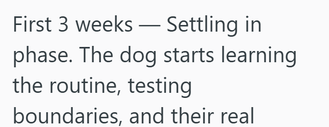 First 3 weeks - Settling in phase. The dog starts learning the routine, testing boundaries, and their real