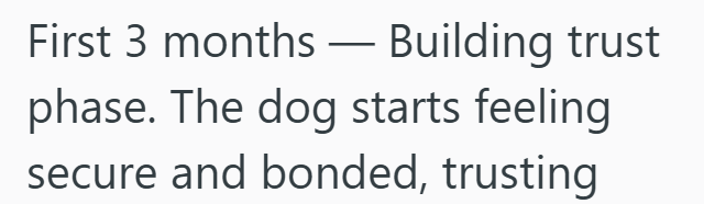 First 3 months - Building trust phase. The dog starts feeling secure and bonded, trusting