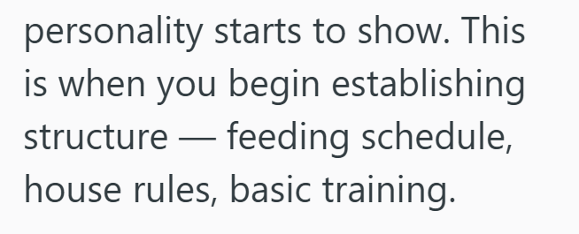 personality starts to show. This is when you begin establishing structure — feeding schedule, house rules, basic training.