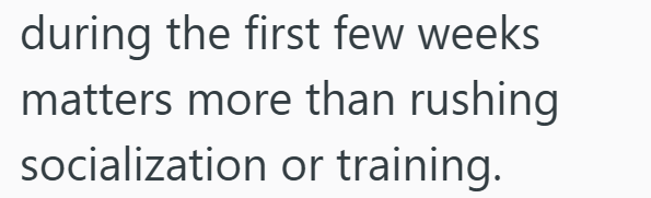 during the first few weeks matters more than rushing socialization or training.
