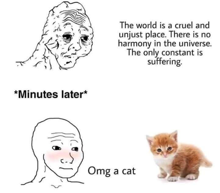 *Minutes later* The world is a cruel and unjust place. There is no harmony in the universe. The only constant is suffering. Omg a cat