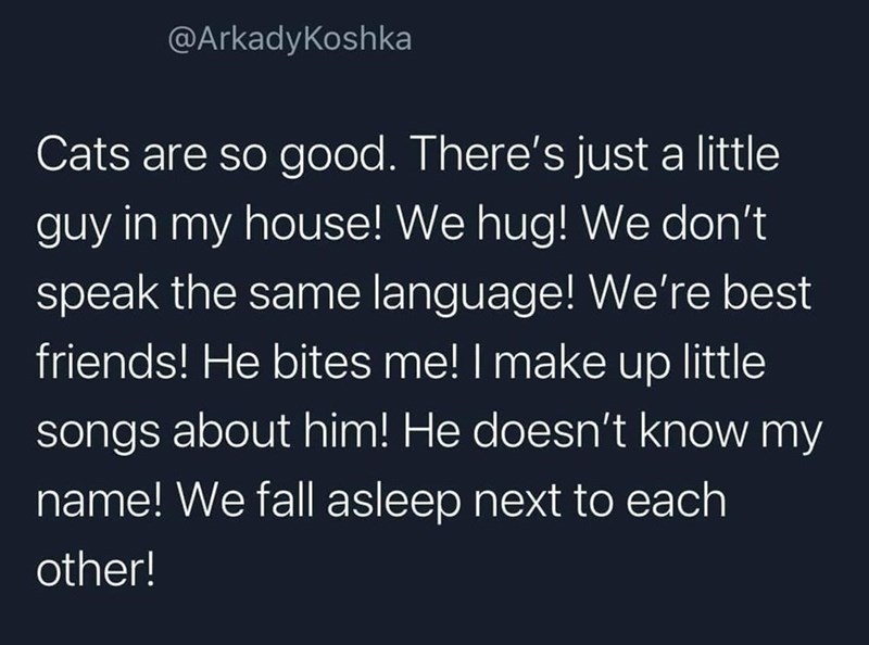 @ArkadyKoshka Cats are so good. There's just a little guy in my house! We hug! We don't speak the same language! We're best friends! He bites me! I make up little songs about him! He doesn't know my name! We fall asleep next to each other!