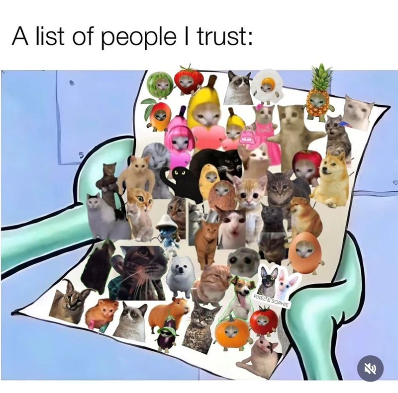 A list of people I trust: 5 PIXEL & SOPHIE K