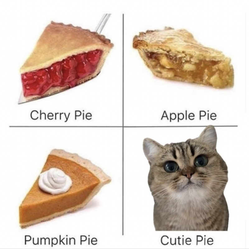 Cherry Pie Apple Pie Pumpkin Pie Cutie Pie