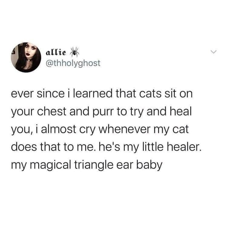 allie @thholyghost ever since i learned that cats sit on your chest and purr to try and heal you, i almost cry whenever my cat does that to me. he's my little healer. my magical triangle ear baby