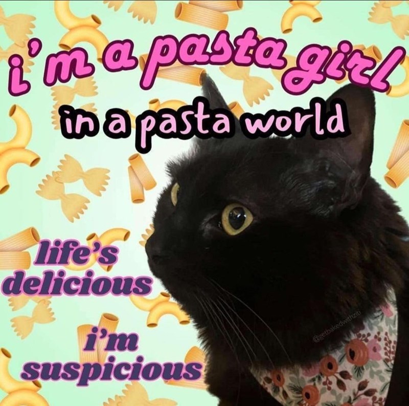 I'm a pasta gizl in a pasta world life's delicious i'm suspicious @getbakedwithziti