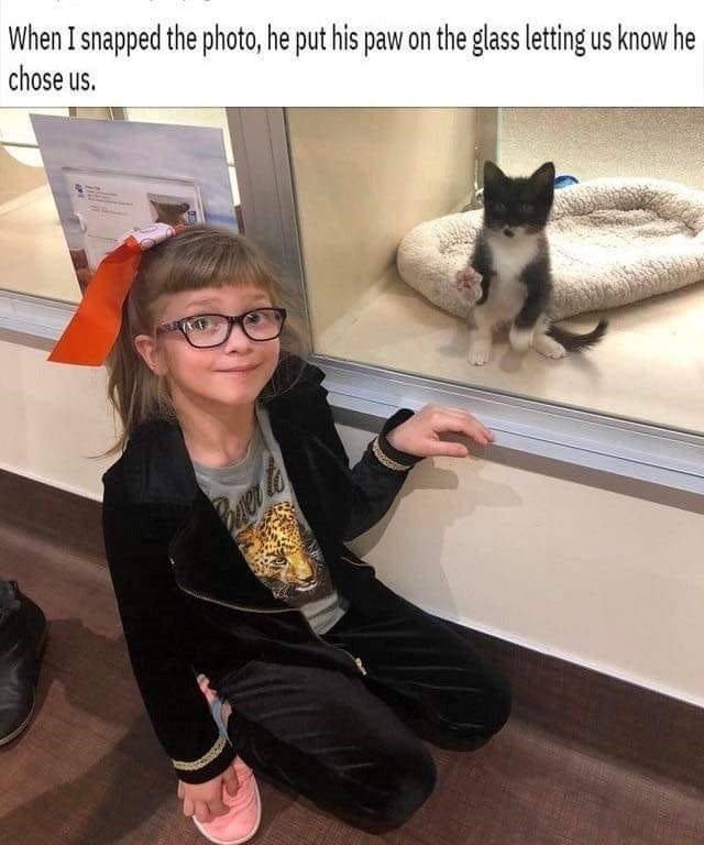 When I snapped the photo, he put his paw on the glass letting us know he chose us.