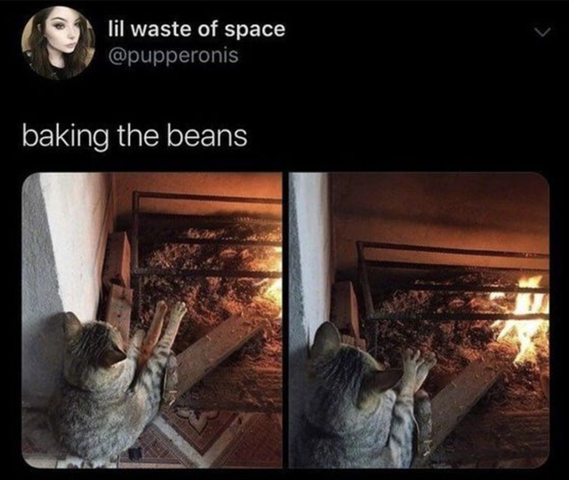 lil waste of space @pupperonis baking the beans