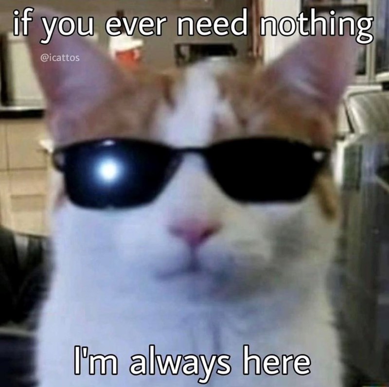 if you ever need nothing @icattos I'm always here