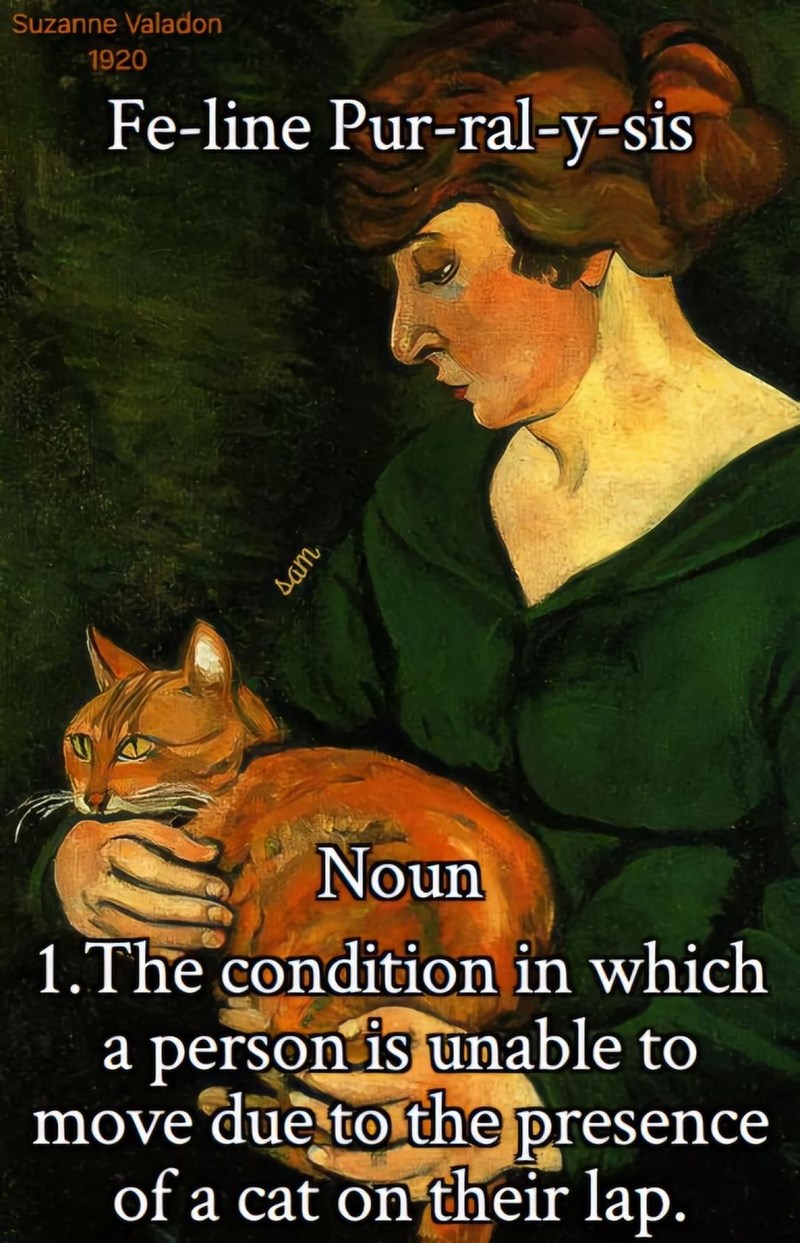 Suzanne Valadon 1920 Fe-line Pur-ral-y-sis sam Noun 1.The condition in which a person is unable to move due to the presence of a cat on their lap.