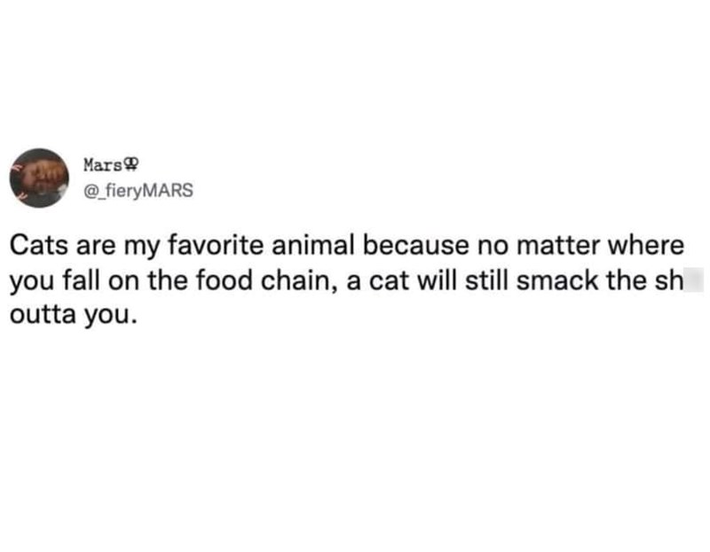 Mars @_fieryMARS Cats are my favorite animal because no matter where you fall on the food chain, a cat will still smack the sh outta you.