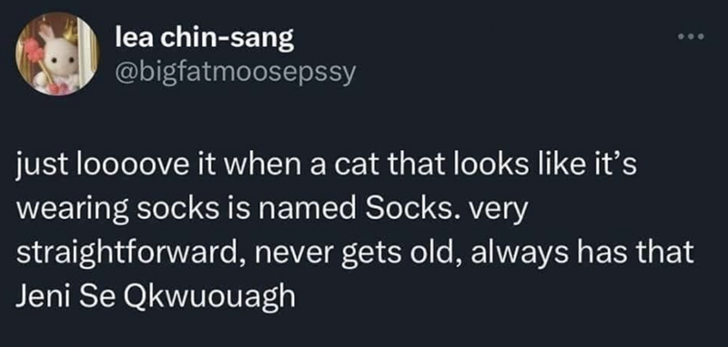 lea chin-sang @bigfatmoosepssy just loooove it when a cat that looks like it's wearing socks is named Socks. very straightforward, never gets old, always has that Jeni Se Qkwuouagh