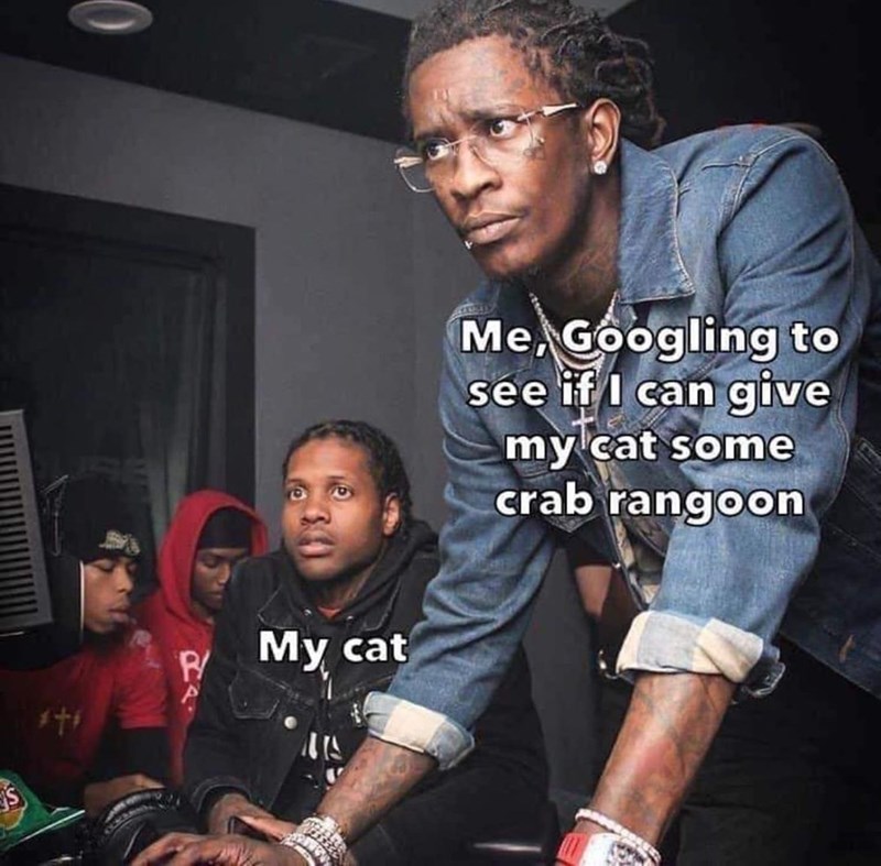 S R/ My cat Me, Googling to see if I can give my cat some crab rangoon