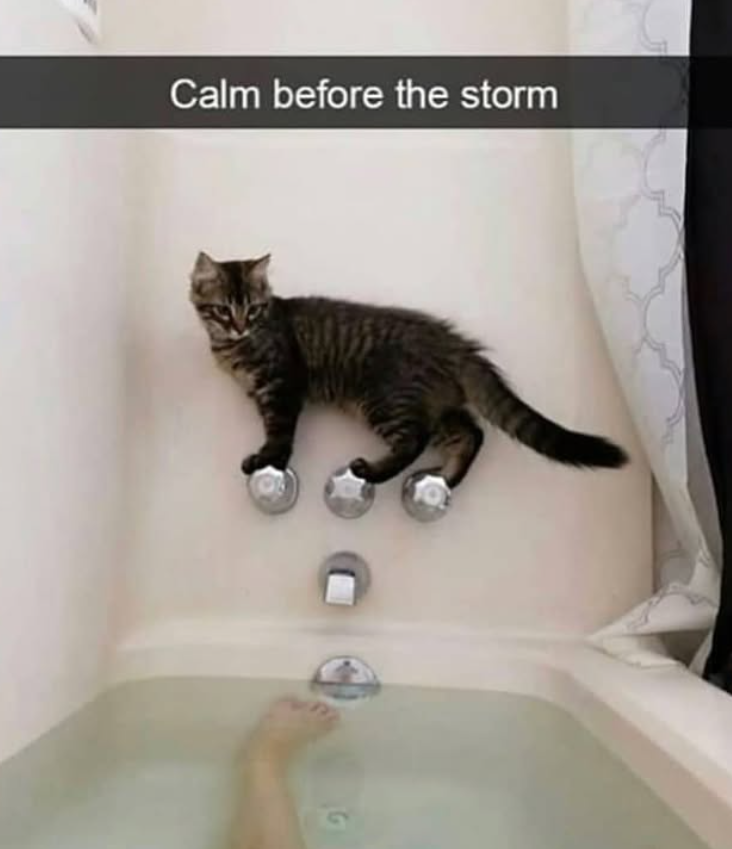 Calm before the storm