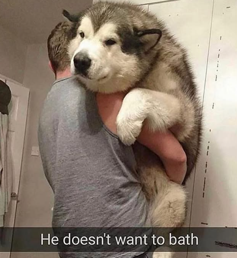 He doesn't want to bath