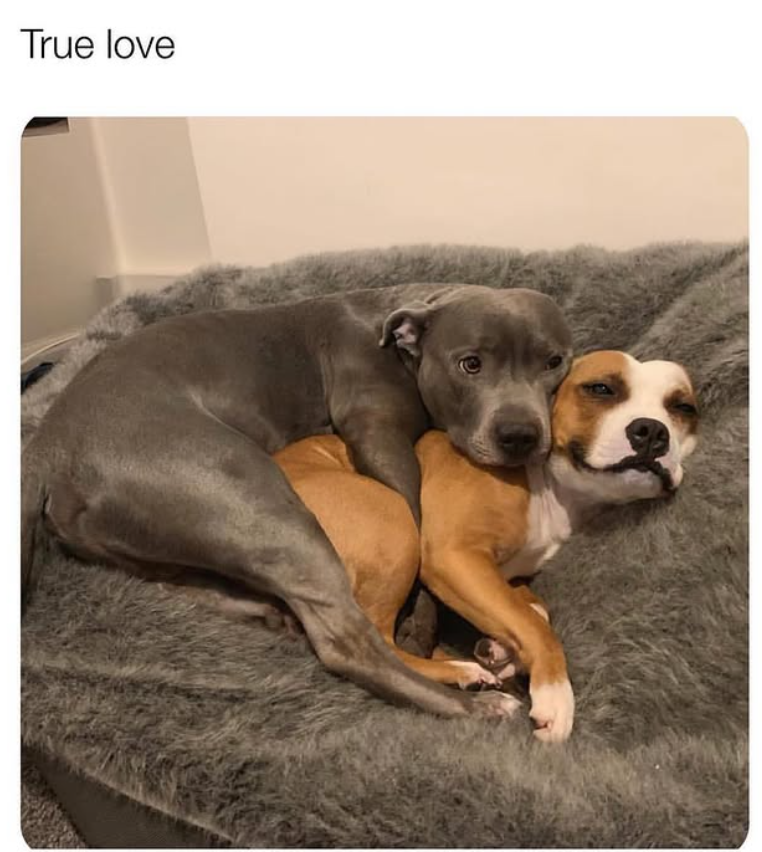 True love