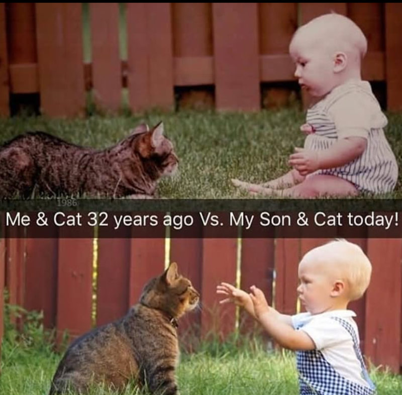 1986 Me & Cat 32 years ago Vs. My Son & Cat today!