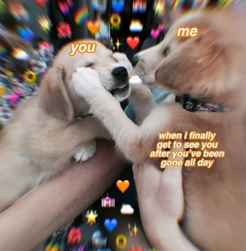 Cechlipses you me A when i finally get to see you after you've been gone all day