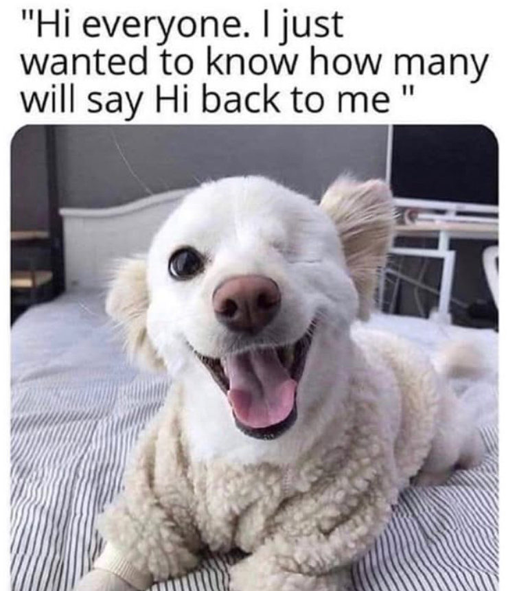 "Hi everyone. I just wanted to know how many will say Hi back to me "