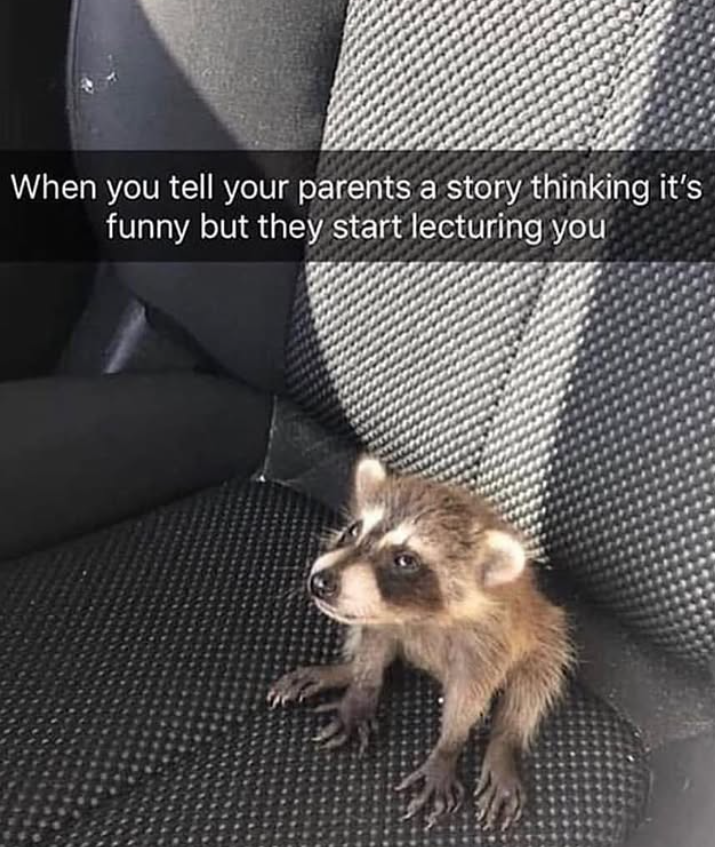 When you tell your parents a story thinking it's funny but they start lecturing you