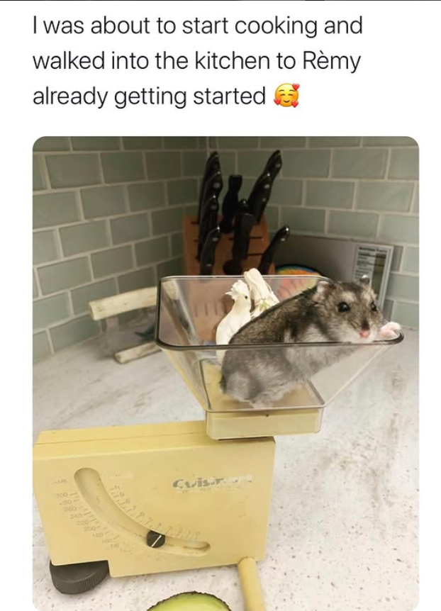 I was about to start cooking and walked into the kitchen to Rèmy already getting started 300 Cuis