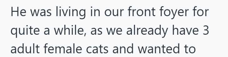 He was living in our front foyer for quite a while, as we already have 3 adult female cats and wanted to