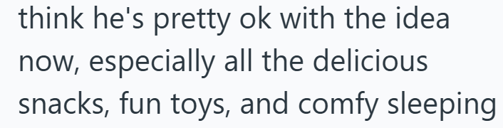 think he's pretty ok with the idea now, especially all the delicious snacks, fun toys, and comfy sleeping