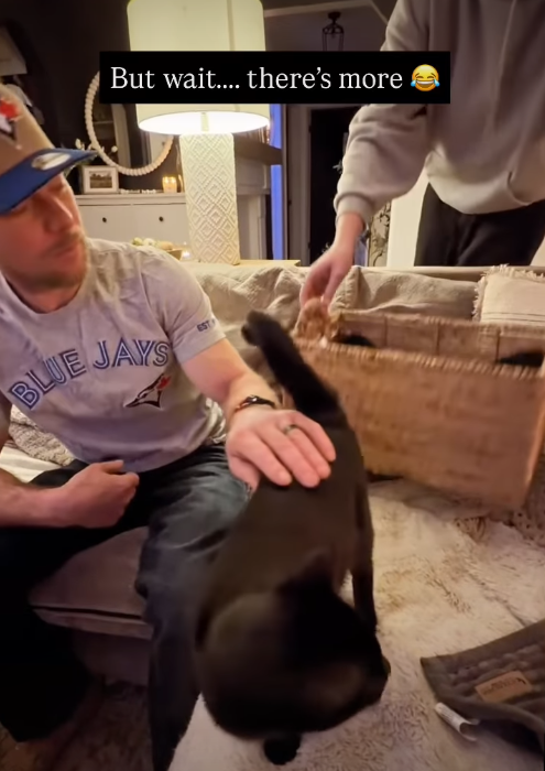 But wait.... there's more BLUE JAYS