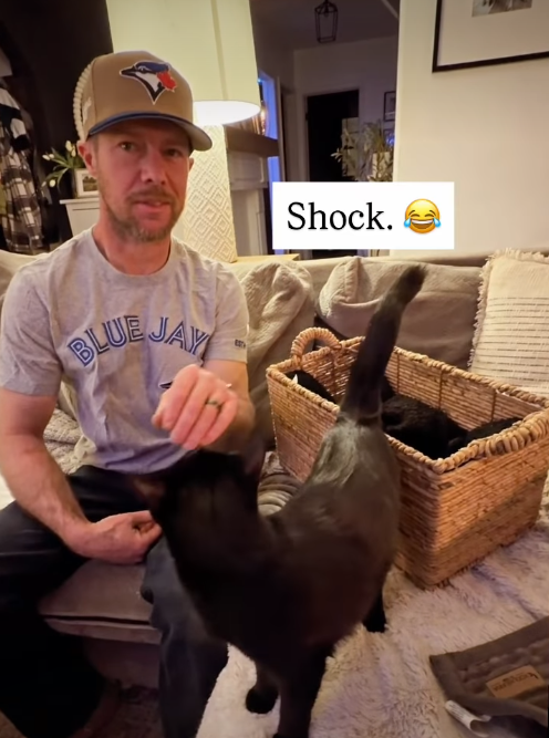 BLUE JAY Shock.