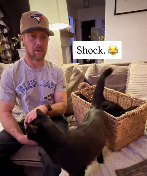 100 BLUE JAY Shock.