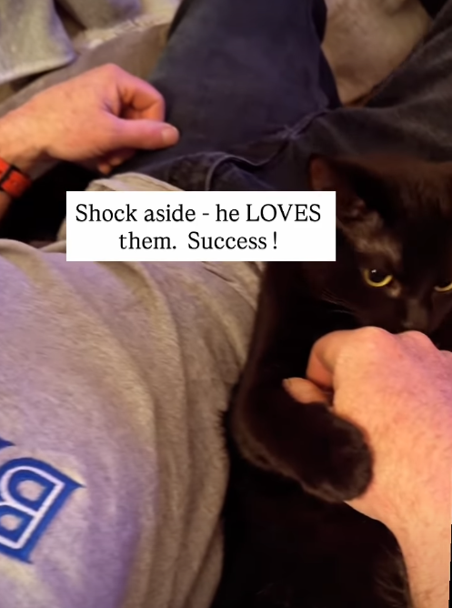 Shock aside - he LOVES them. Success! gr