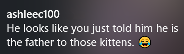 ashleec100 He looks like you just told him he is the father to those kittens.