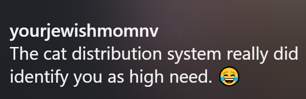yourjewishmomnv The cat distribution system really did identify you as high need. →