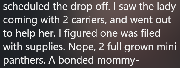 scheduled the drop off. I saw the lady coming with 2 carriers, and went out to help her. I figured one was filed with supplies. Nope, 2 full grown mini panthers. A bonded mommy-