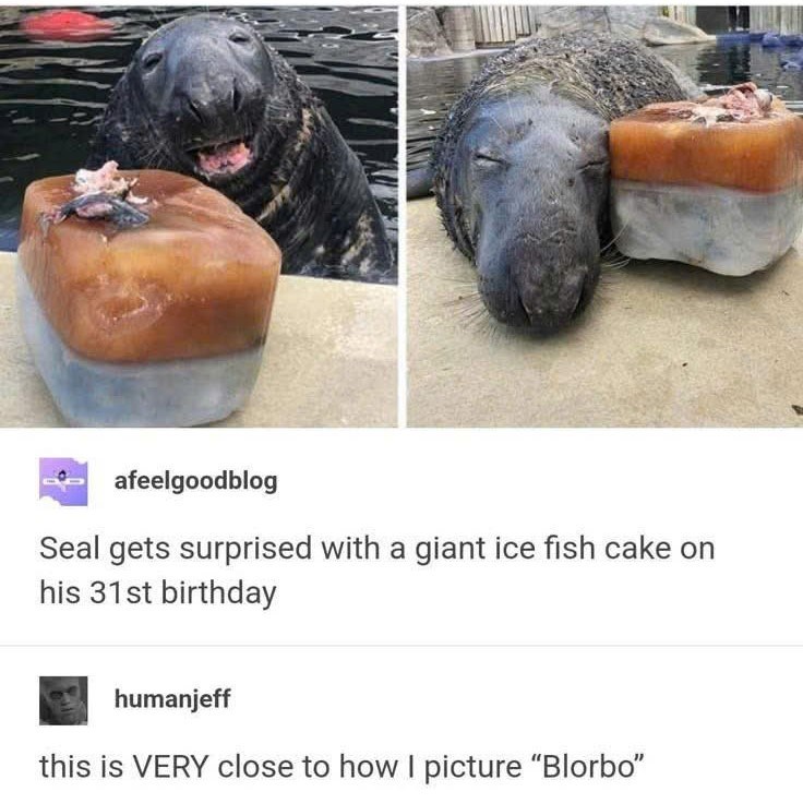 afeelgoodblog Seal gets surprised with a giant ice fish cake on his 31st birthday humanjeff this is VERY close to how I picture "Blorbo"
