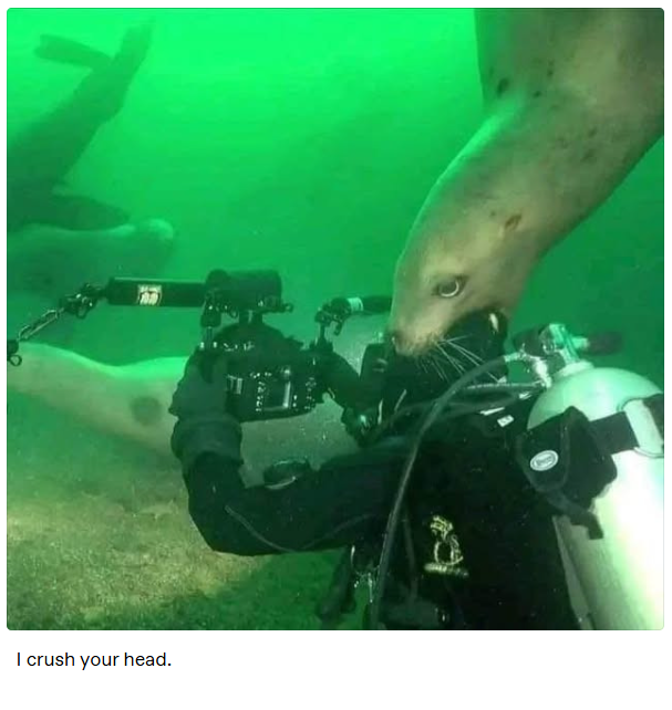 I crush your head.