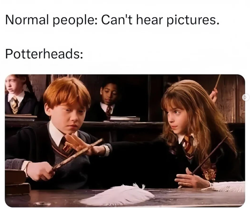 Normal people: Can't hear pictures. Potterheads: