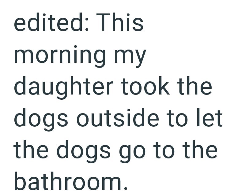 edited: This morning my daughter took the dogs outside to let the dogs go to the bathroom.