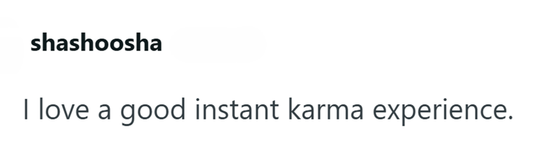 shashoosha I love a good instant karma experience.
