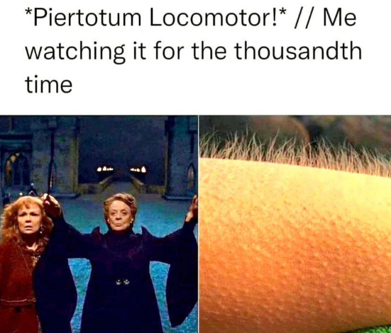 *Piertotum Locomotor!* // Me watching it for the thousandth time