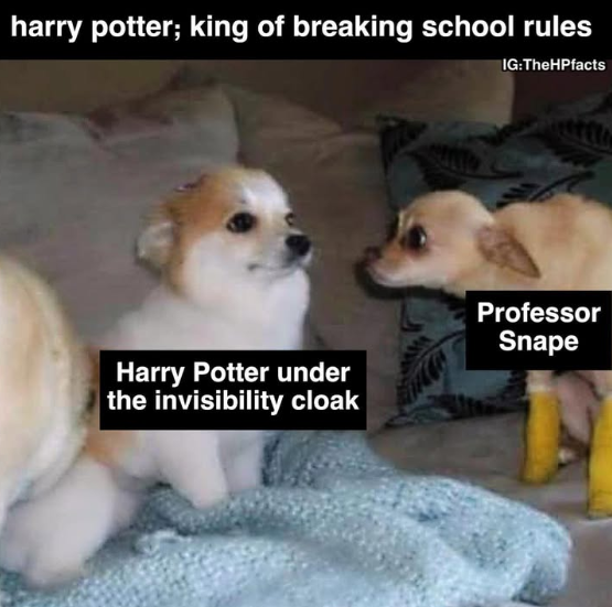 harry potter; king of breaking school rules IG:TheHPfacts Harry Potter under the invisibility cloak Professor Snape