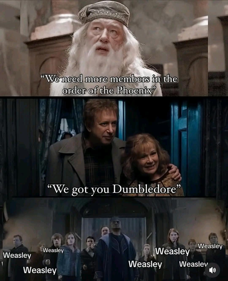 Weasley "We need more members in the order of the Phoenix" "We got you Dumbledore” Weasley Weasley Weasley Weasley Weaslev Weasley