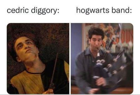 cedric diggory: hogwarts band: