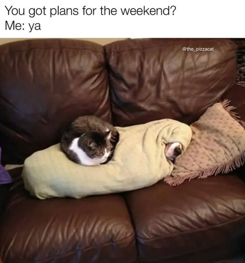 You got plans for the weekend? Me: ya @the_pizzacat